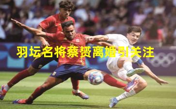 羽坛名将蔡赟离婚引关注